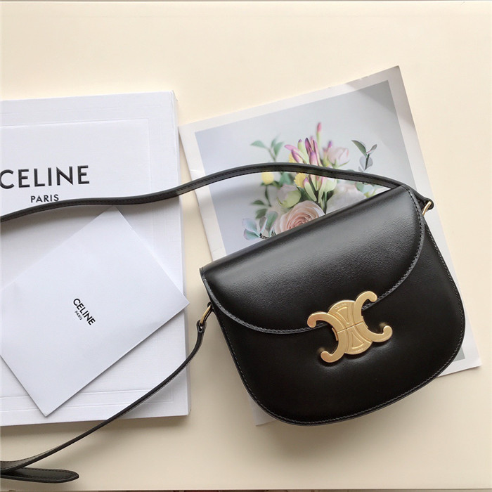 CELINE 셀린느 트리오페 틴 체인 베사체백 C69502