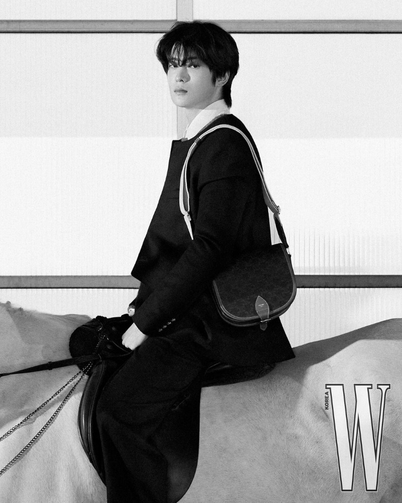 [NCT 재현] CELINE 셀린느 트리옹프 캔버스 폴코백