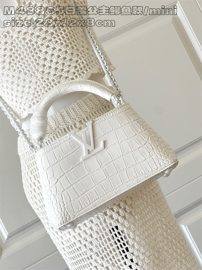 LOUIS VUITTON 루이비통 카푸신 미니 M48865 2024/신상 2color