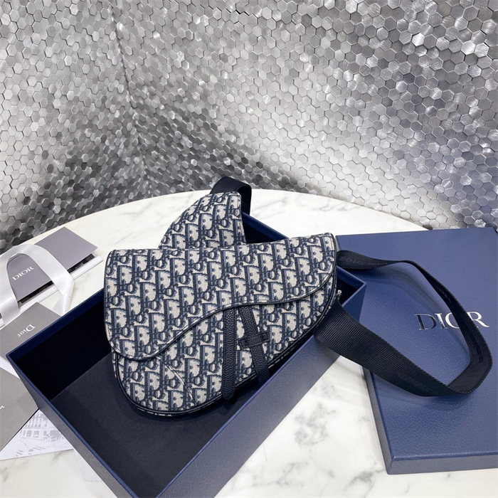 DIOR 디올 오블리크 새들백 M9001 2024/신상 2COLOR