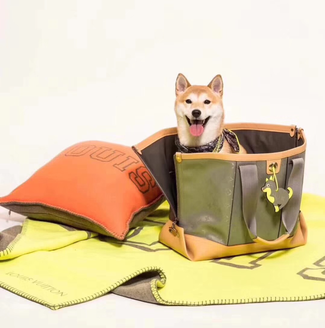 루이비통 티타늄 토트백  M43883