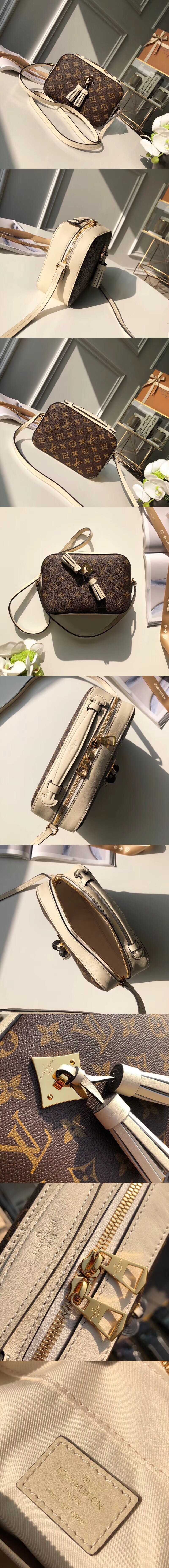 [LOUIS VUITTON]루이비통 생통주 M43557-1