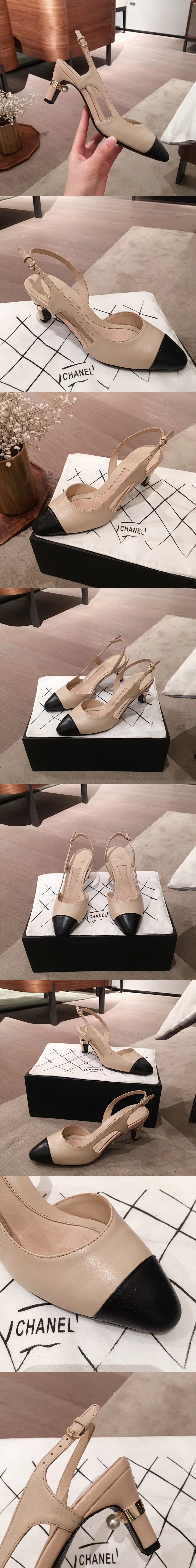 샤넬 6.5cm N0055-2