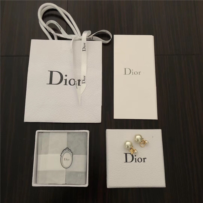  Dior 디올 귀걸이 D9102 2020/신상 (정품과 비교가능한 퀄리티 )