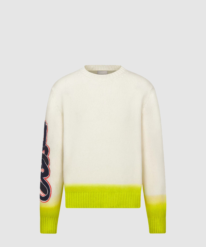 디올 AND KAWS 스웨터 513M6