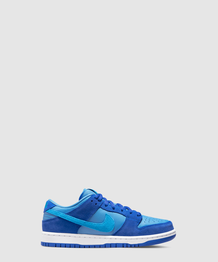 나이키 SB 덩크 로우 DM0807